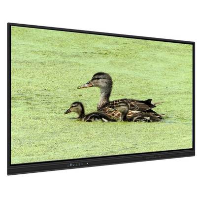 শিক্ষক এবং মিটিংয়ের জন্য 8+128G স্টোরেজ এবং ইনফ্রারেড টাচ সহ 65 ইঞ্চি অল ইন ওয়ান ইন্টারেক্টিভ হোয়াইটবোর্ড