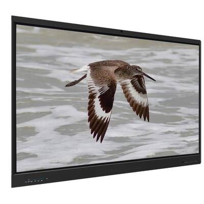 আইবোর্ড ইন্টারেক্টিভ হোয়াইটবোর্ড অ্যান্ড্রয়েড ১৫ ইডিএলএ, ৬৫ ইঞ্চি প্যানেল সহ, ই-লার্নিং এর জন্য