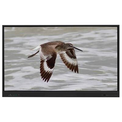 আইবোর্ড ইন্টারেক্টিভ হোয়াইটবোর্ড অ্যান্ড্রয়েড ১৫ ইডিএলএ, ৬৫ ইঞ্চি প্যানেল সহ, ই-লার্নিং এর জন্য