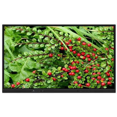 বাড়ির শিক্ষকতা, জুম মিটিংগুলির জন্য স্পিকার সহ ৭৫ ইঞ্চি ওএম ইন্টারেক্টিভ হোয়াইটবোর্ড